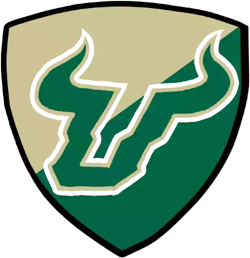 Đội bóng Bulls Nam Florida