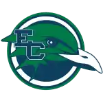 Endicott Gulls