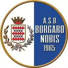 Borgaro
