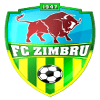 Zimbru Chisinau U19