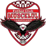 AFC Campulung Muscel 2022