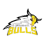 Franklin Bulls