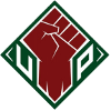 Fighting Maroons (Women)