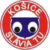 Slavia TU Košice