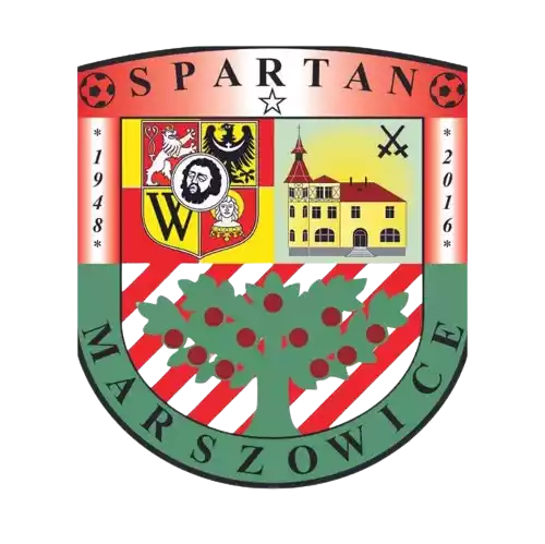 team_logo