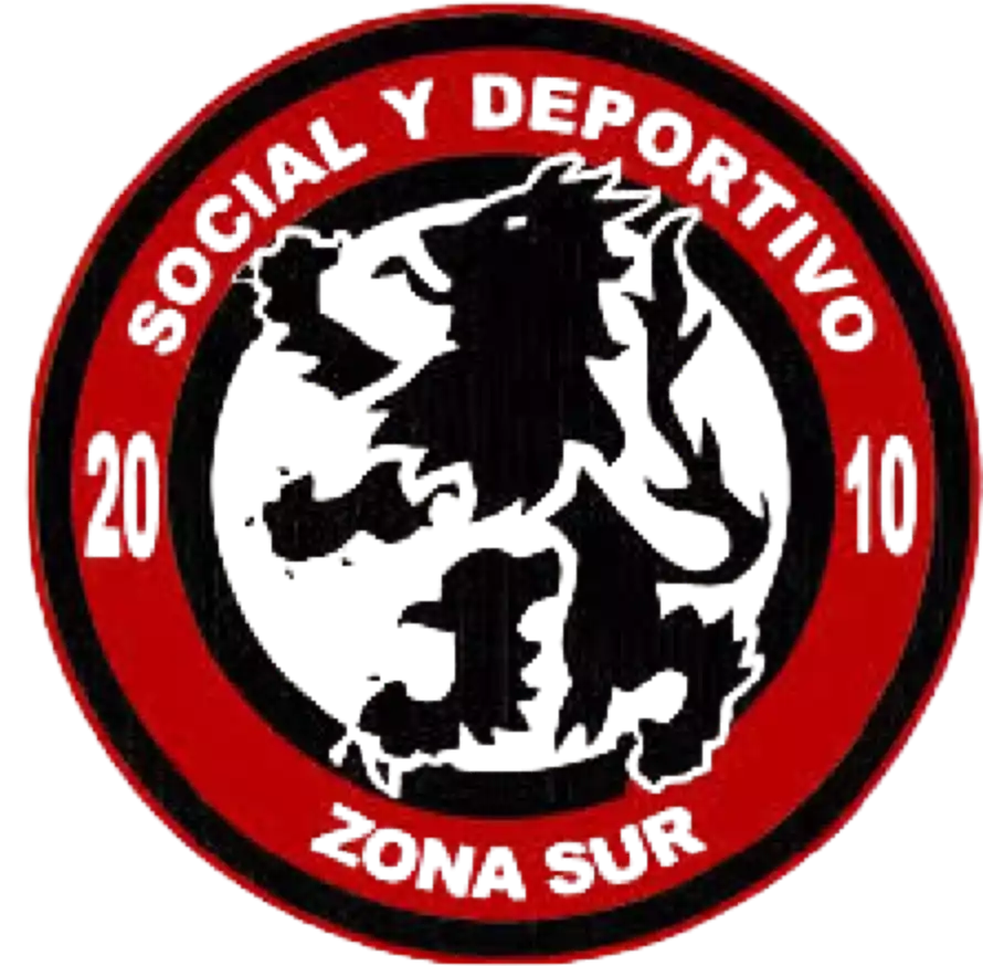 Đội bóng đá Zona Sur