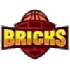 Bricks