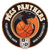 PVSK Pannonpower Pécs