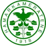 Hamkam Football 2