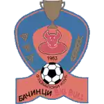 FK Big Bull Radnicki