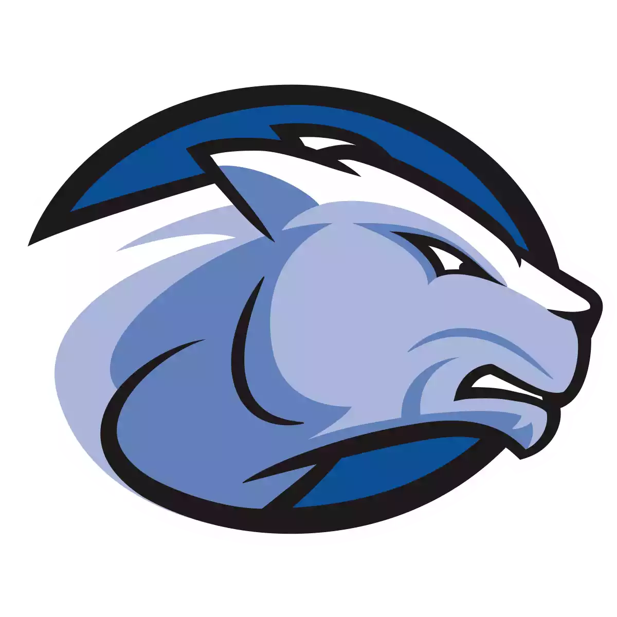 Wheaton Massachusetts Lions