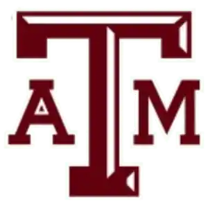 Техас A&M Эйджис (жен)