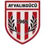 Ayvalıkgücü Belediyespor
