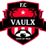 Vaulx en Velin