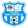 CS Ocna Mures