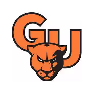 Greenville Panthers