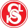 Slapanice