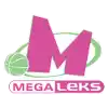 Mega MIS