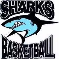 RJ Sharks
