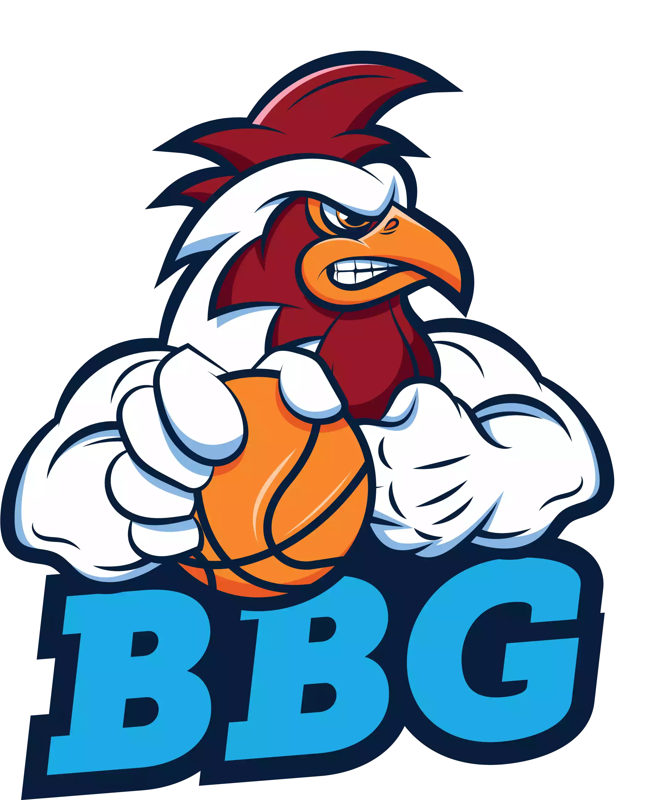 Basketball Gallarate