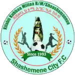 Shashemene City