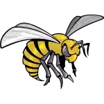 Alabama State Hornets (F)