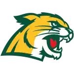 Đại học Bắc Michigan Wildcats