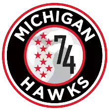 Đội Bóng Đại Học Michigan (Nữ)
