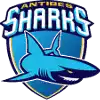 Antibes Sharks