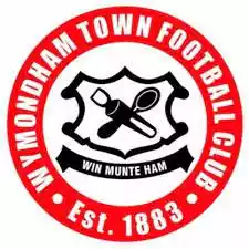 Wymondham Town Lfc