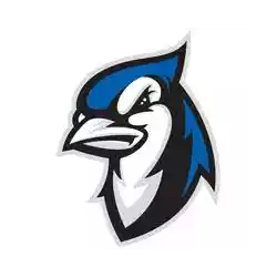 Elizabethtown Blue Jays