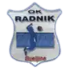 Radnik