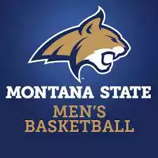 Đội bóng Bobcats Bang Montana