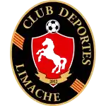Deportes Limache
