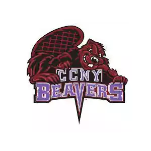 Beavers New York