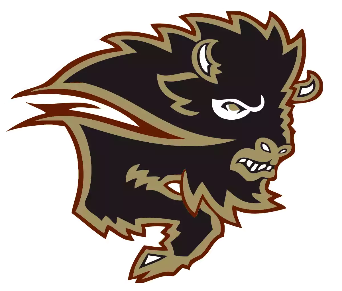 Đội Bison Manitoba (Nữ)