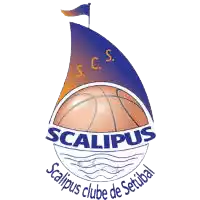 Scalipus
