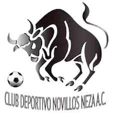 Deportivo Novillos Neza