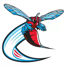 Đội bóng chày Delaware State Hornets