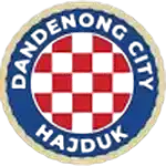 Dandenong City SC U23