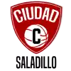 Đội bóng Ciudad de Saladillo U19