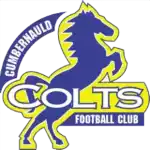 Cumbernauld Colts