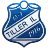sub-19. Tiller (19)