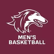 Đội bóng đá Southern Illinois Salukis