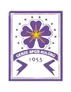 Гюзиде Гебзеспор (19)