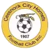 Cessnock City Ong vò vọt