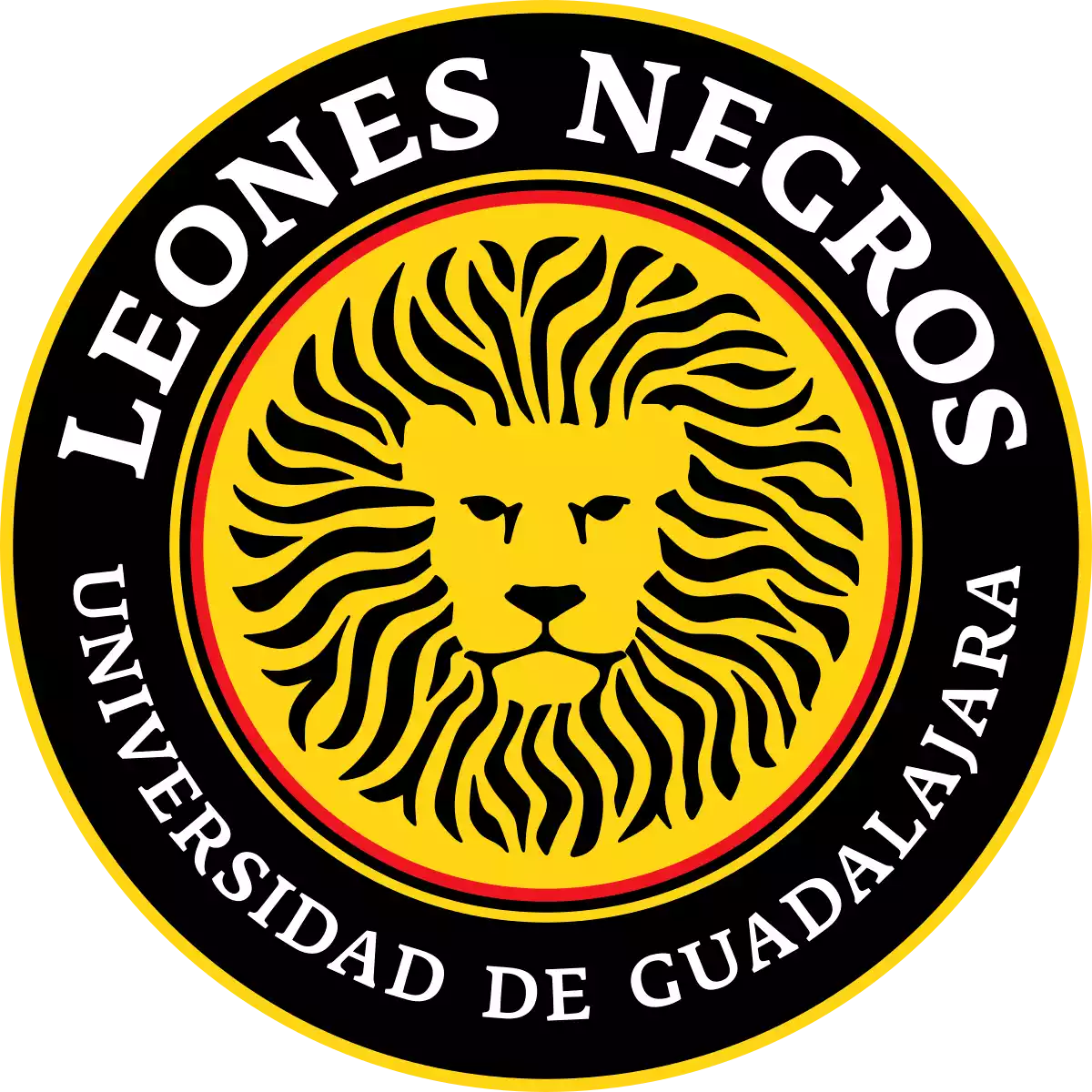 Universidad Guadalajara III