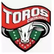 Đội Toros de Chiriqui