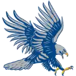Đội bóng chày Dickinson State Blue Hawks