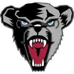 Мэйн Блэк Биарс